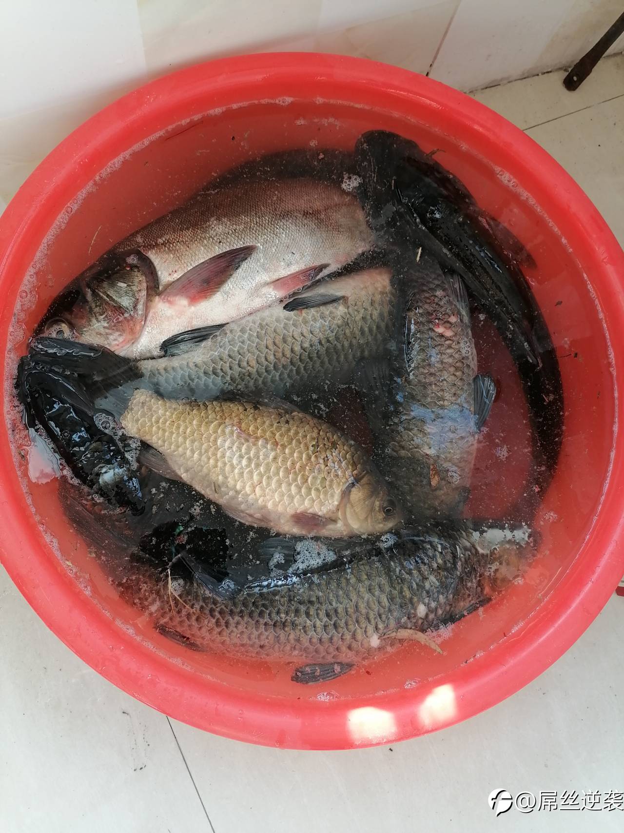 feed-image-2