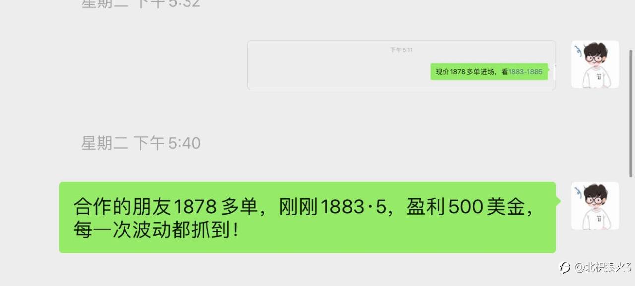feed-image-1