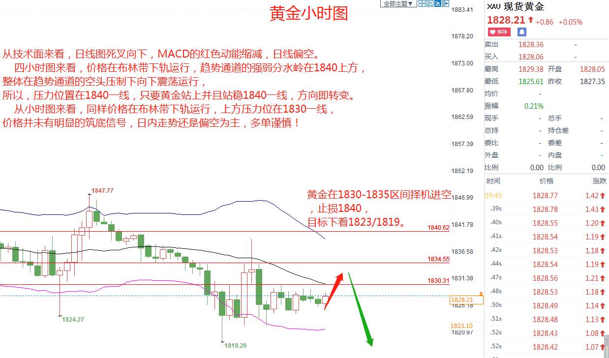 蓝图金道：12/15黄金走势分析建议