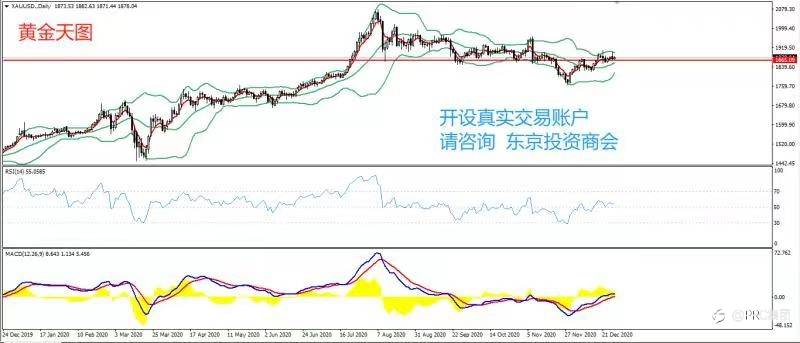 2020年12月29日 今日汇评