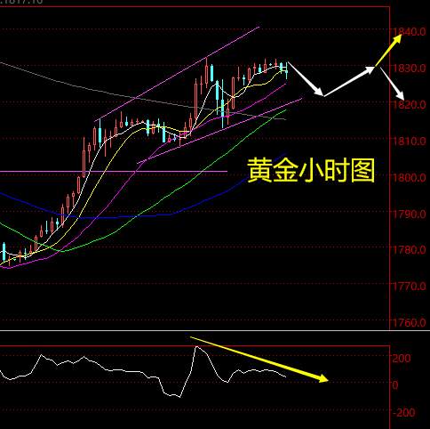 老黑策略：12.3黄金分析策略