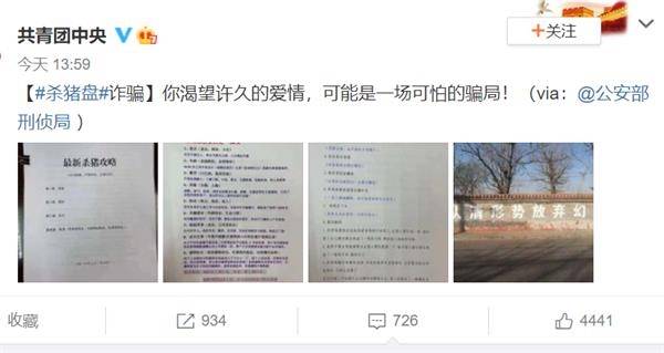 我是一只刚刚被杀的猪 杀猪盘触目惊心：女生被骗上千万！诈骗流程曝光