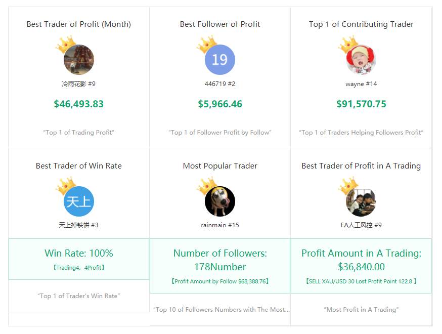 FOLLOWME Community Trading Overview - November 2020