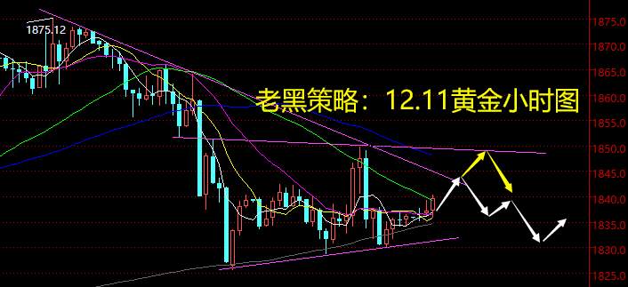 老黑策略：12.11黄金分析策略