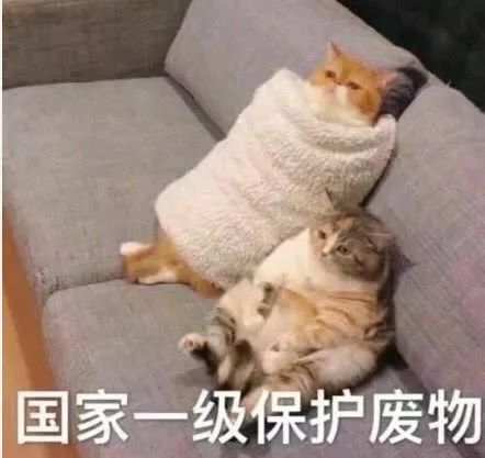 金融海盗高盛，才是《华尔街之狼》背后的狼王