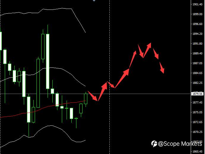 SCOPE MARKETS【市场早评】丨2020.12.29