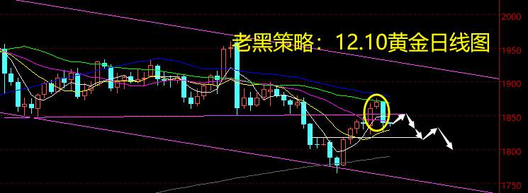 老黑策略：12.10黄金分析策略