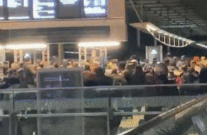 新毒株已在英国失控！伦敦封城上演“大逃离”，法、意、荷、比等多国紧急宣布应对措施