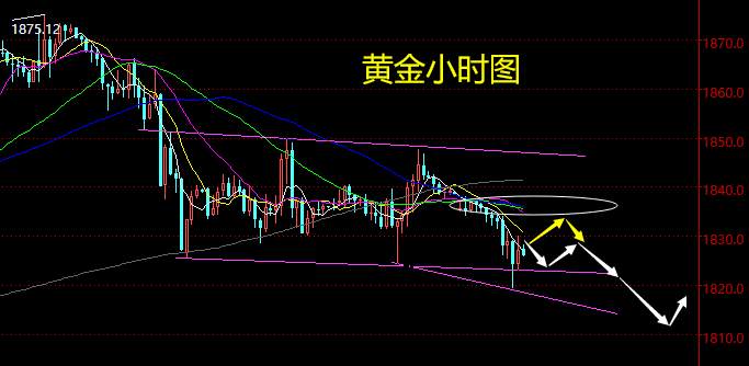 老黑策略：12.14晚盘外汇、黄金、原油分析策略