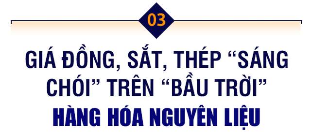 10 sự kiện nổi bật nhất thị trường hàng hóa - nguyên liệu trong và ngoài nước năm 2020