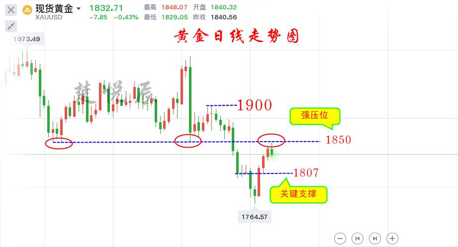 楚悦辰：12.5非农黄金完美收割15个点利润，你还不跟上吗？