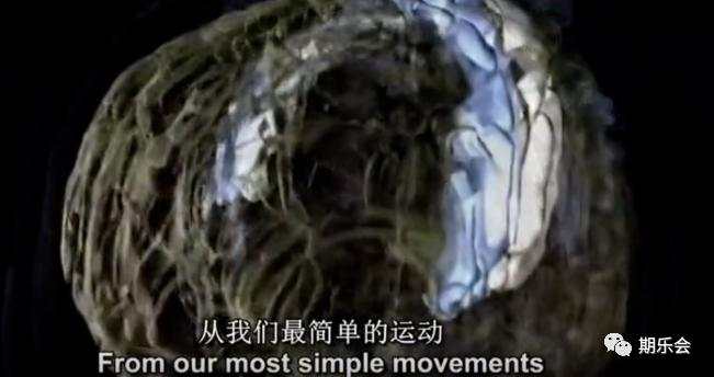 交易员的大脑是什么样的？
