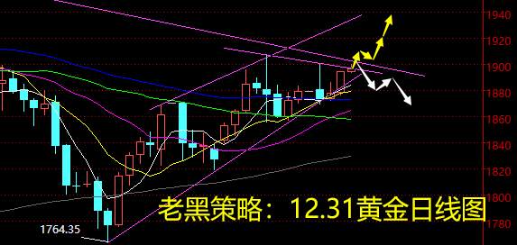老黑策略：12.31黄金分析策略