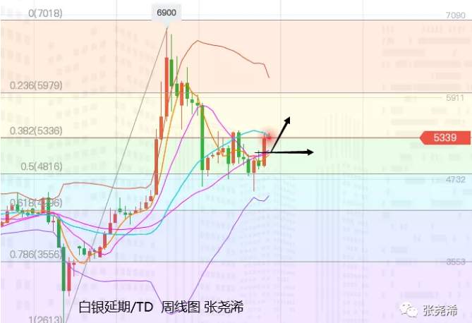 张尧浠周评：刺激计划有望实施、黄金反弹仍有上行预期