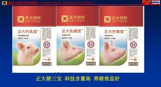 继马来西亚首富之后，泰国首富家族也要来A股！母公司和央视合作创办《正大综艺》
