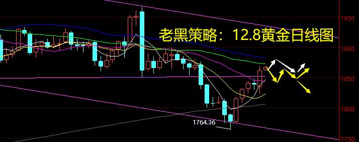老黑策略：12.8黄金分析策略