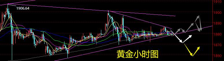 老黑策略：12.30晚盘外汇、黄金、原油分析策略