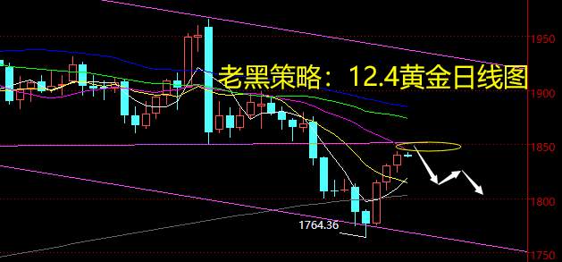 老黑策略：12.4黄金分析策略