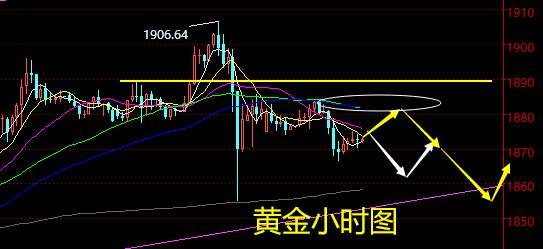 老黑策略：12.22晚盘外汇、黄金、原油分析策略