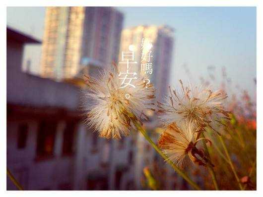 黄金日内有反弹走势，关键点位看1790！