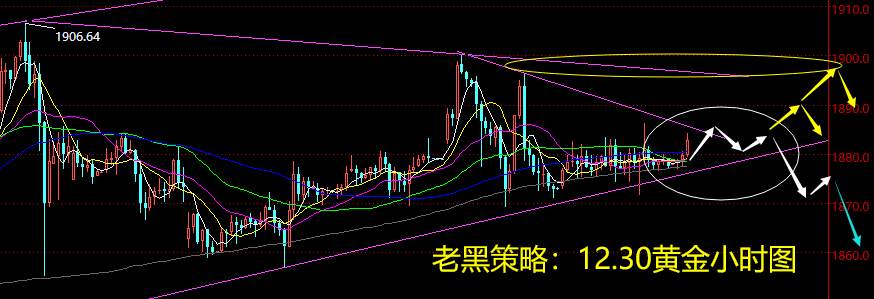 老黑策略：12.30黄金分析策略