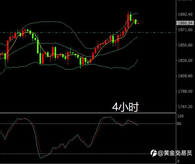 撑死胆大的多头