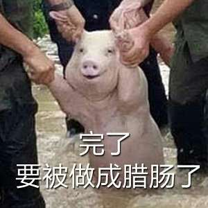 牛赚钱，熊也赚钱，但猪和羊会被屠宰！  