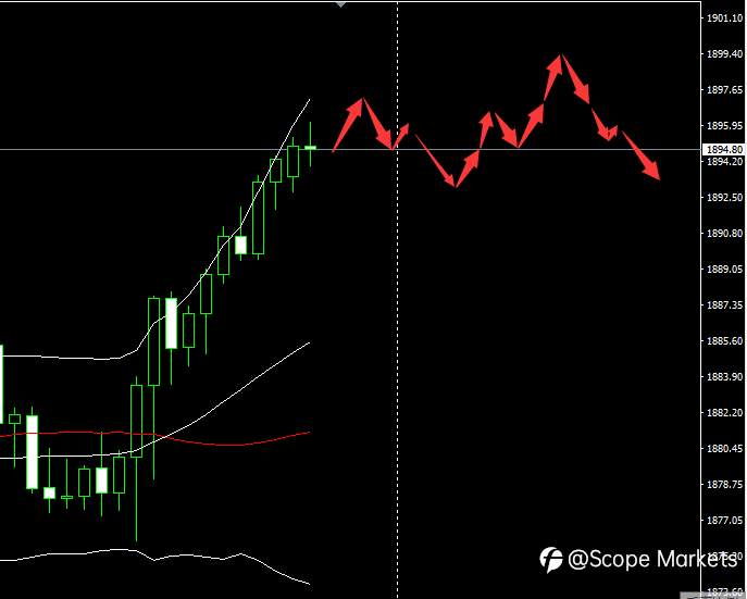 SCOPE MARKETS【市场早评】丨2020.12.31