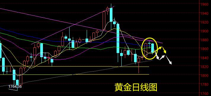 老黑策略：1.22晚盘外汇、黄金、原油分析策略