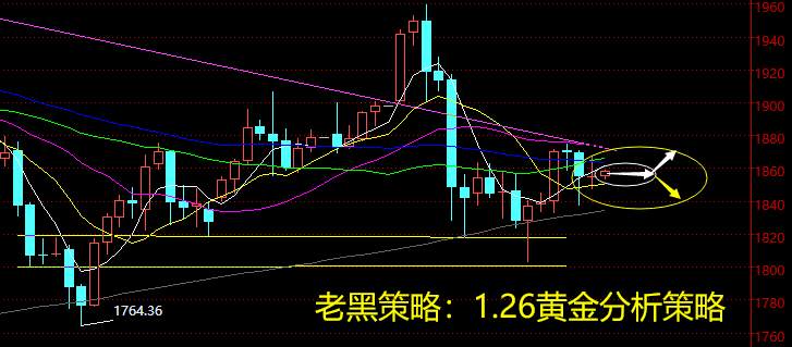 老黑策略：1.26黄金分析策略