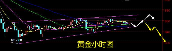 老黑策略：1.13晚盘外汇、黄金、原油分析策略