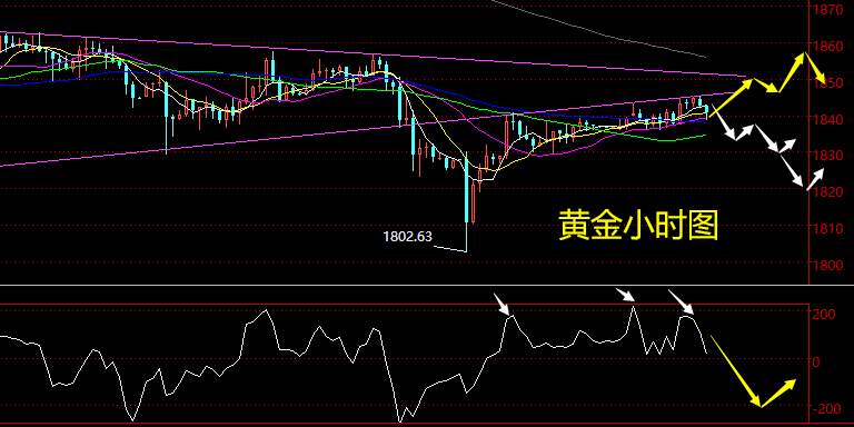 老黑策略：1.19晚盘外汇、黄金、原油分析策略