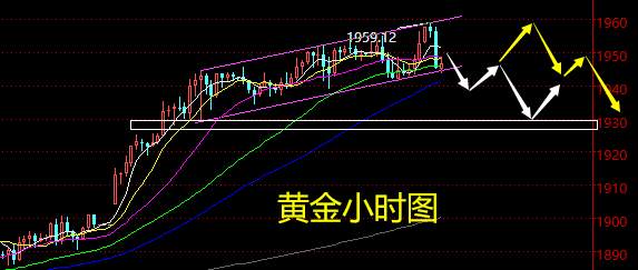 老黑策略：1.6晚盘外汇、黄金、原油分析策略