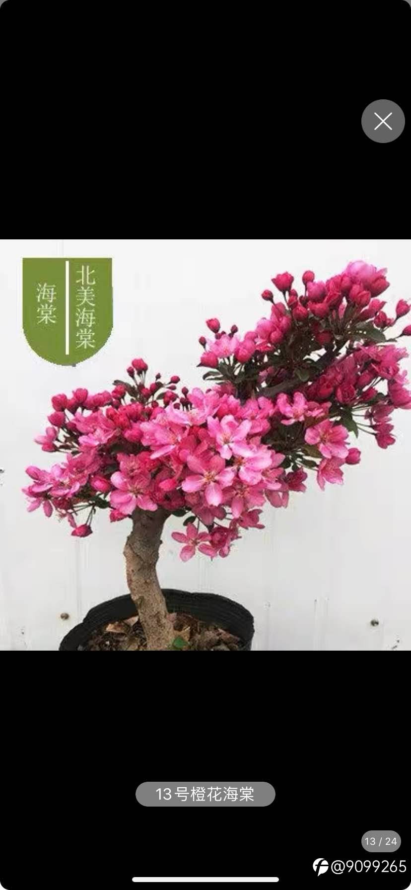 不错哦
