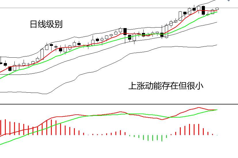 四季：解读IEA月报下调原油需求预期