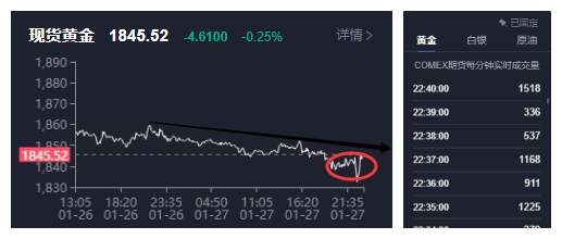 feed-image-1