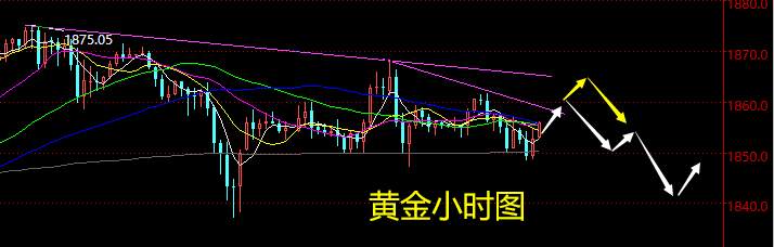老黑策略：1.26晚盘外汇、黄金、原油分析策略