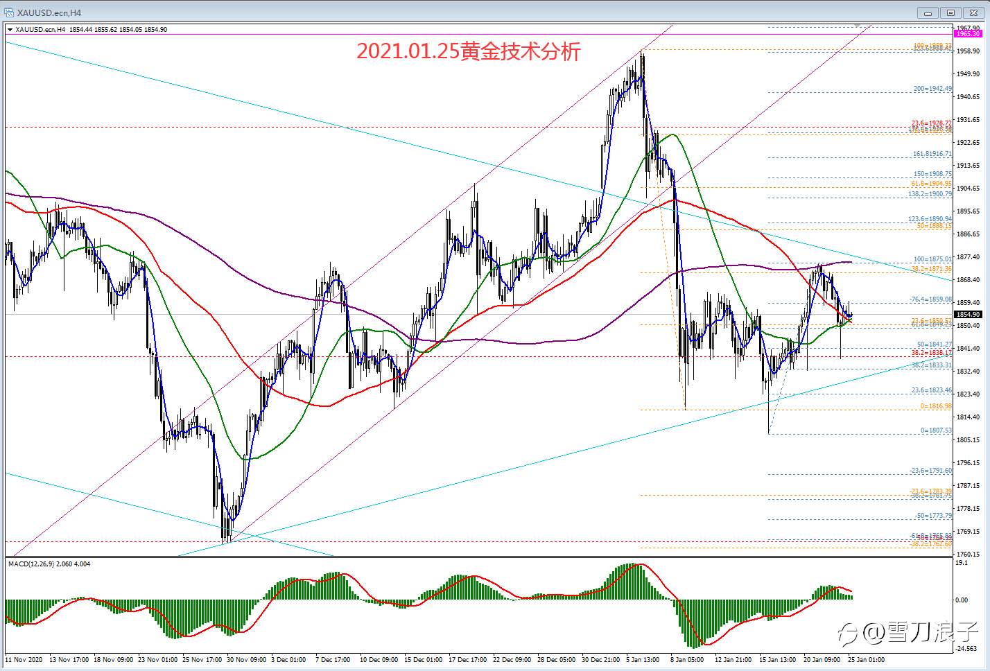 2021.01.25黄金技术分析