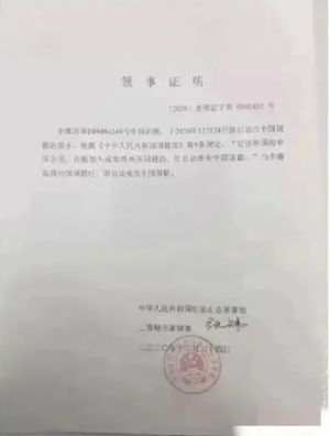 李娜退出中国国籍？中国驻釜山总领事馆：申请人证件使用姓名与知名运动员相同