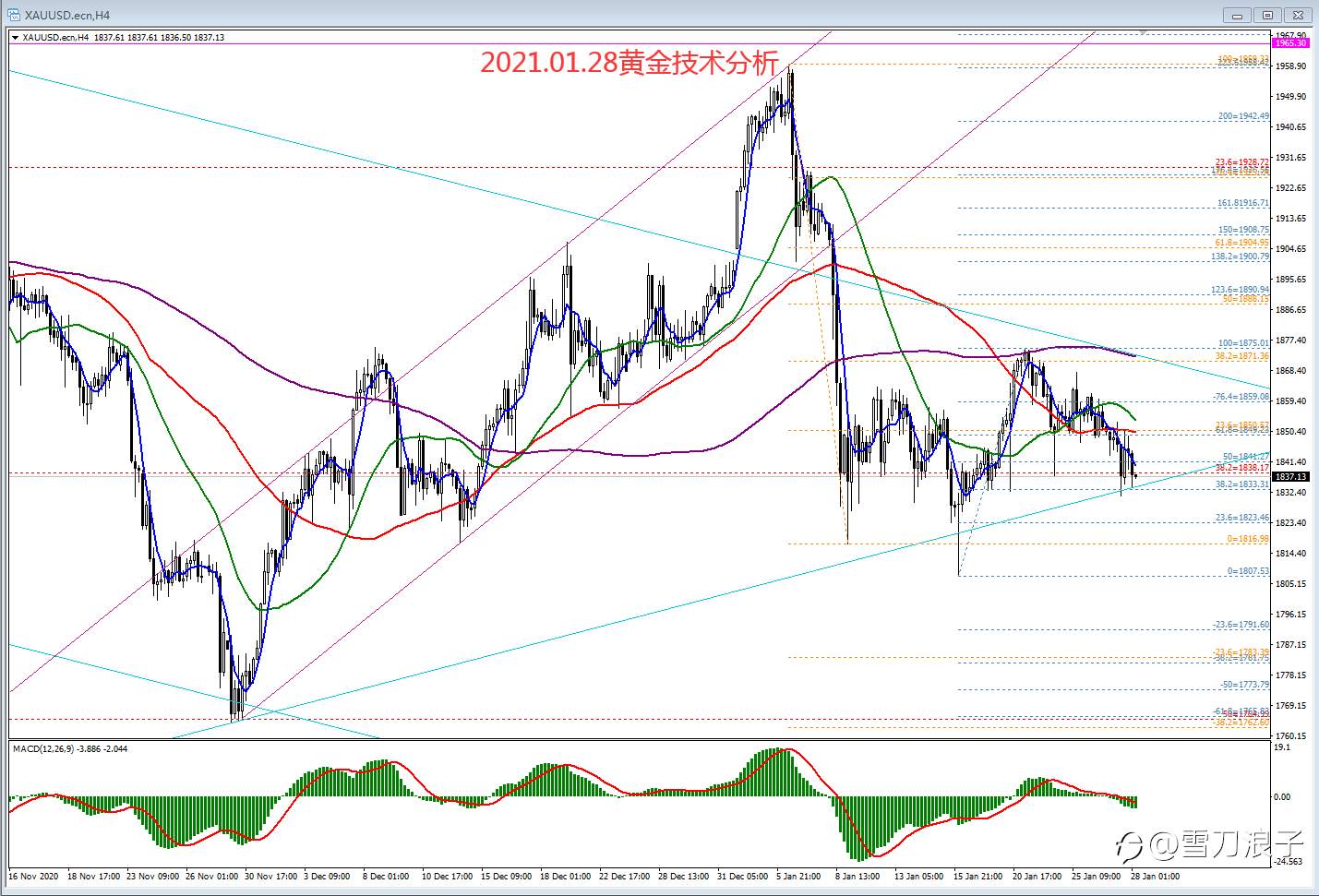2021.01.28黄金技术分析