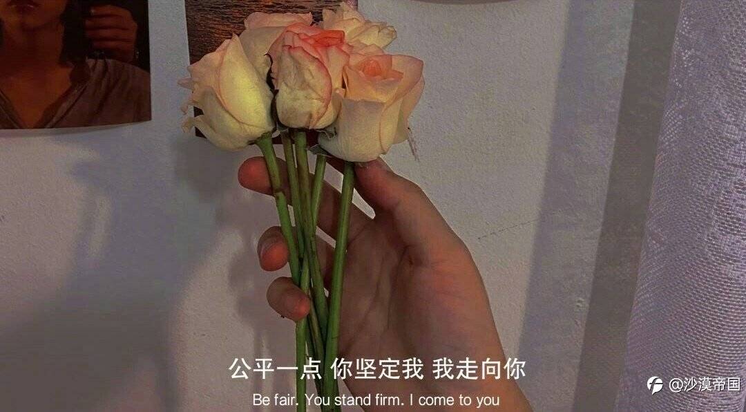 2021.1.12每日交易策略