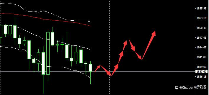 SCOPE MARKETS【市场早评】丨2021.01.28