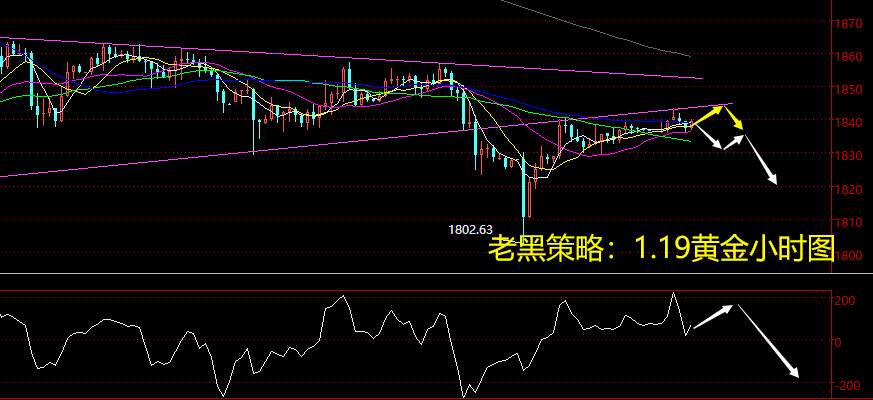 老黑策略：1.19黄金分析策略