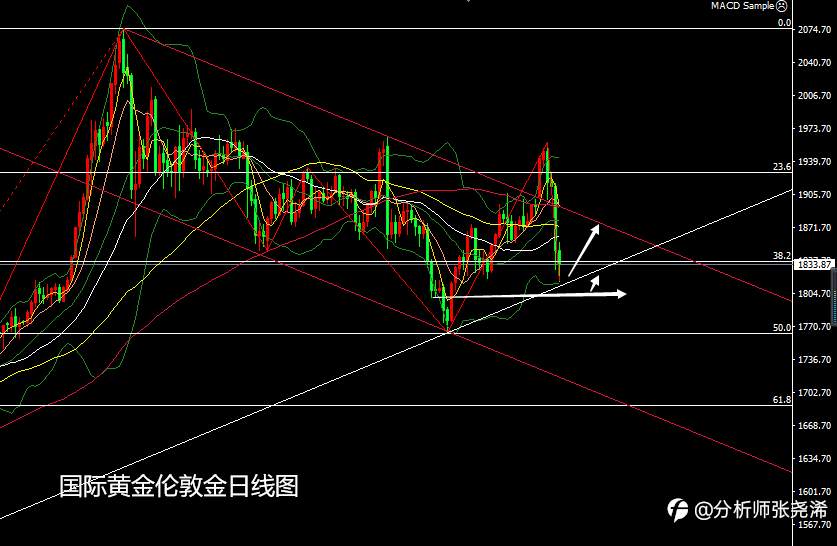 张尧浠：黄金今日新低看止跌、多头反弹再寻压力线