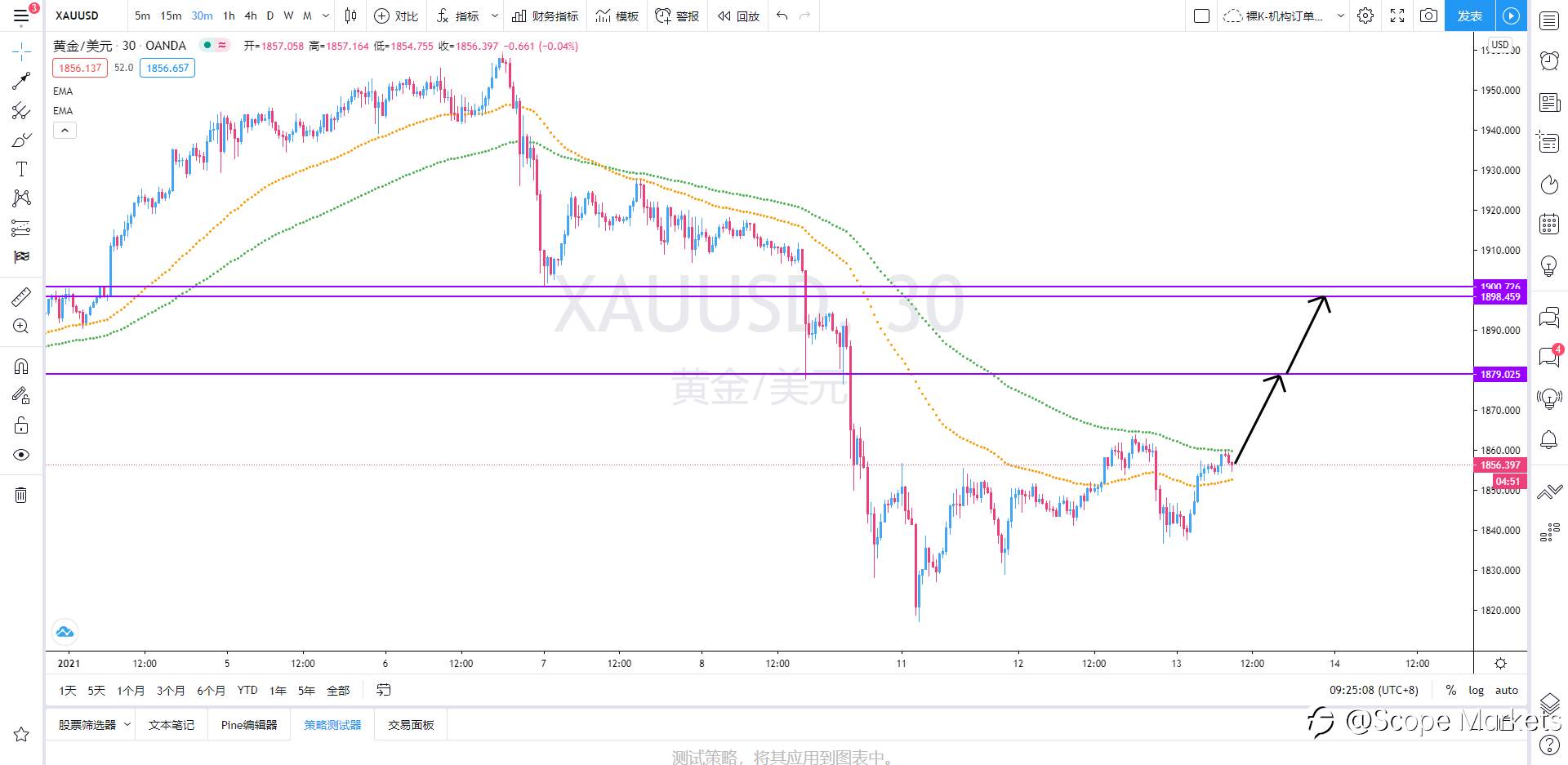 SCOPE MARKETS【策略研报】丨2021.01.13