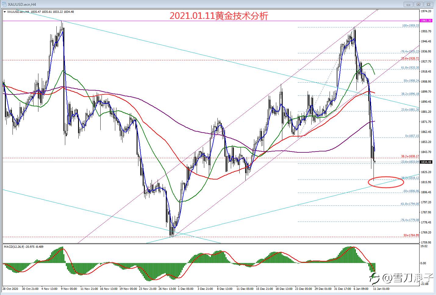 2021.01.11黄金技术分析