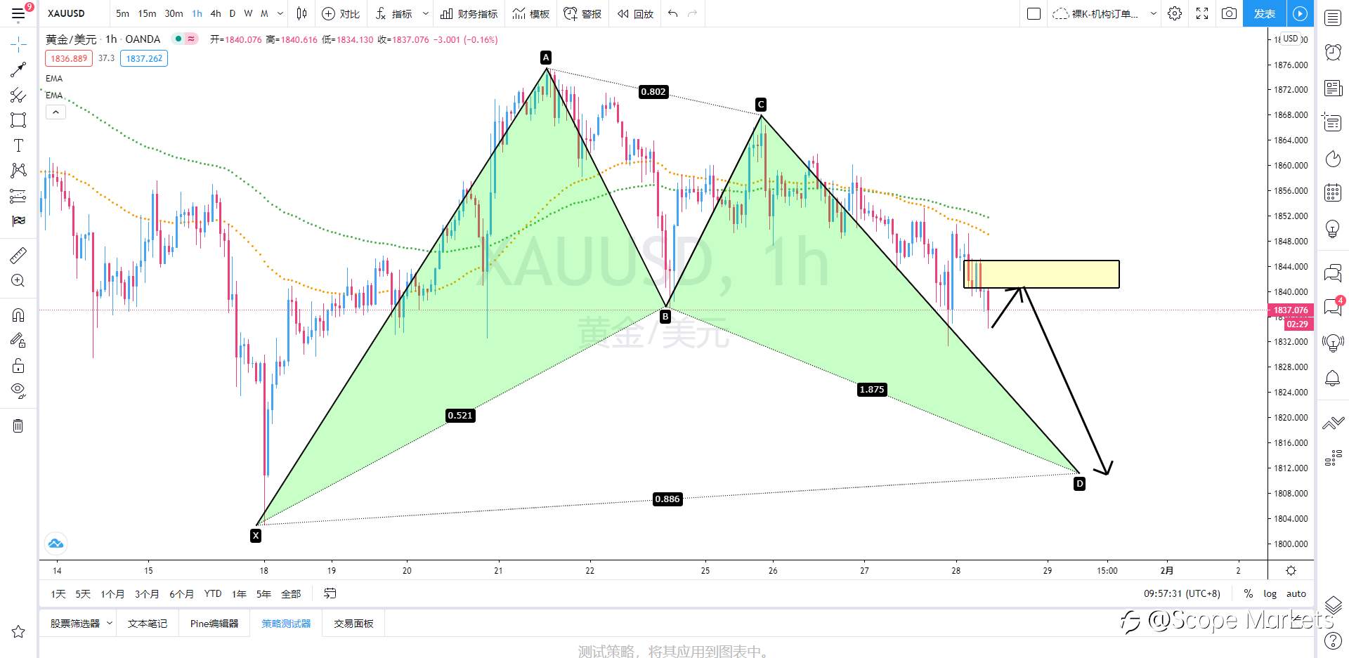 SCOPE MARKETS【策略研报】丨2021.01.28