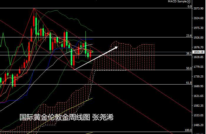 张尧浠：黄金迈入拜登时代、本周偏看震荡上行