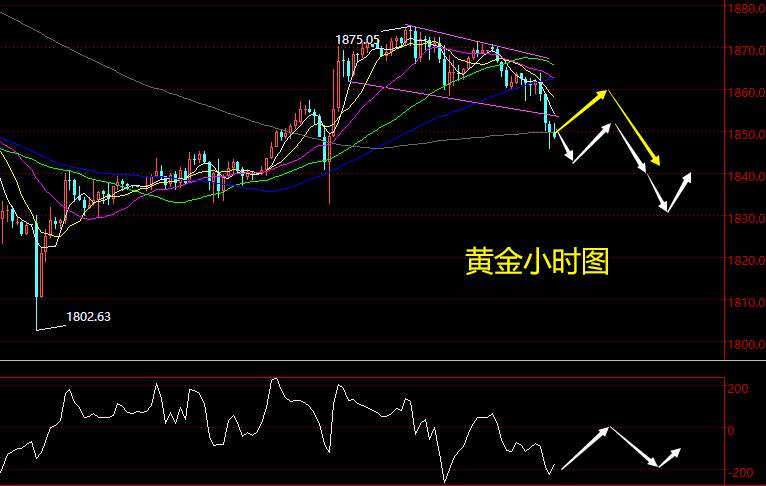 老黑策略：1.22晚盘外汇、黄金、原油分析策略