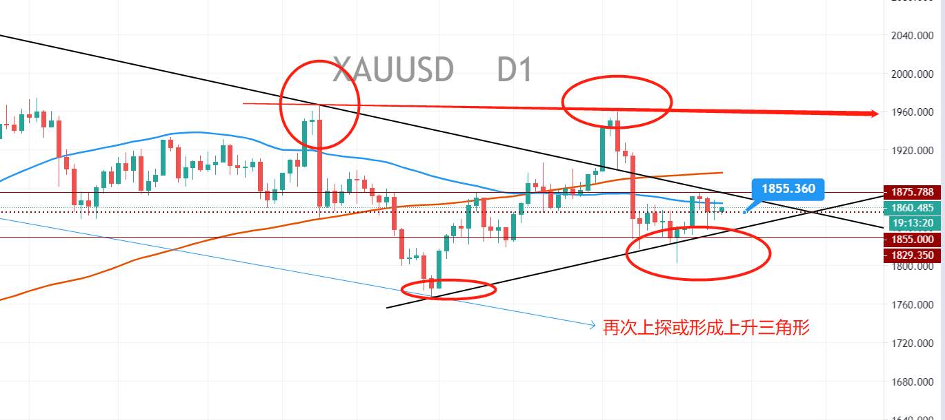 【南篱论金/黄金】恐慌指数走平，黄金萎缩走势何时休？